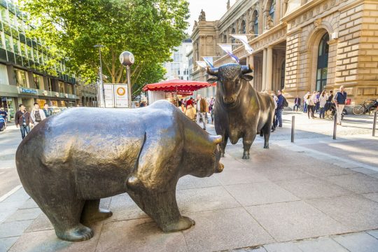 bulls bears